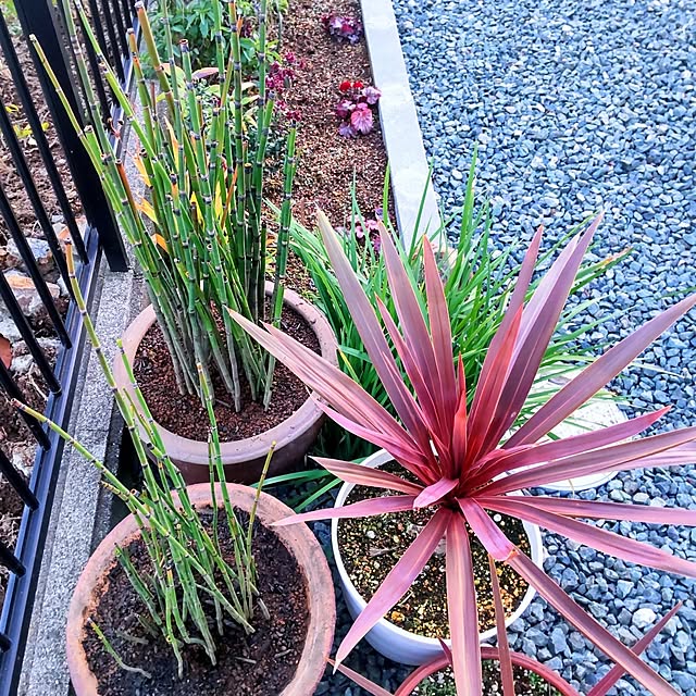 NSDさんの実例写真