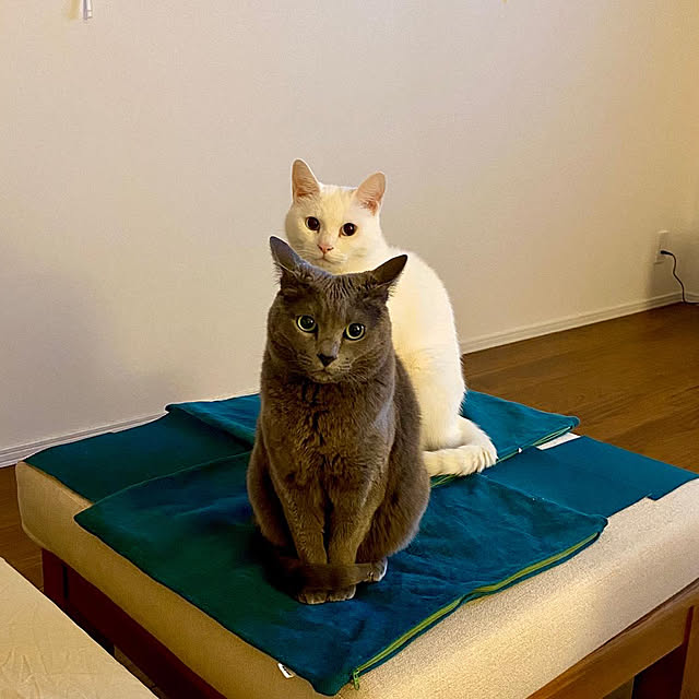 naruminさんの部屋