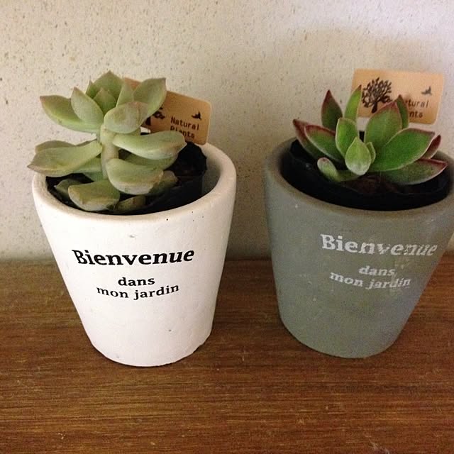 teruさんの実例写真