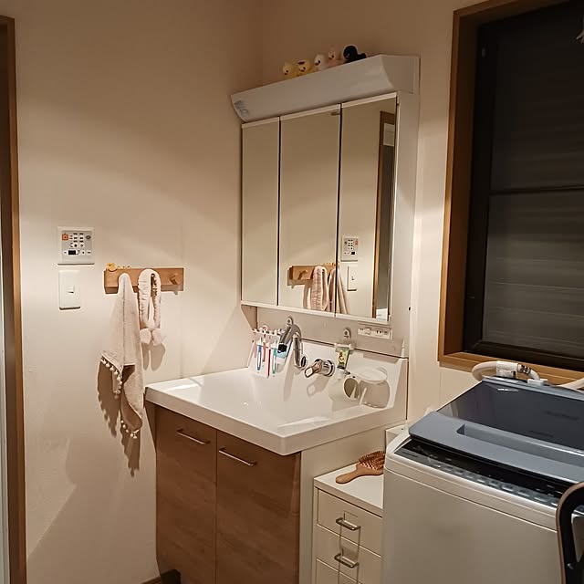 mizukingyoさんの実例写真