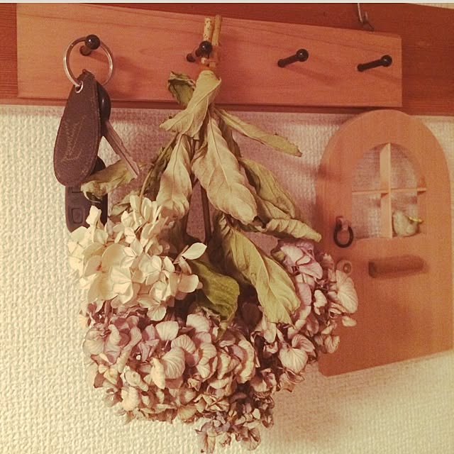 yuuharuさんの実例写真