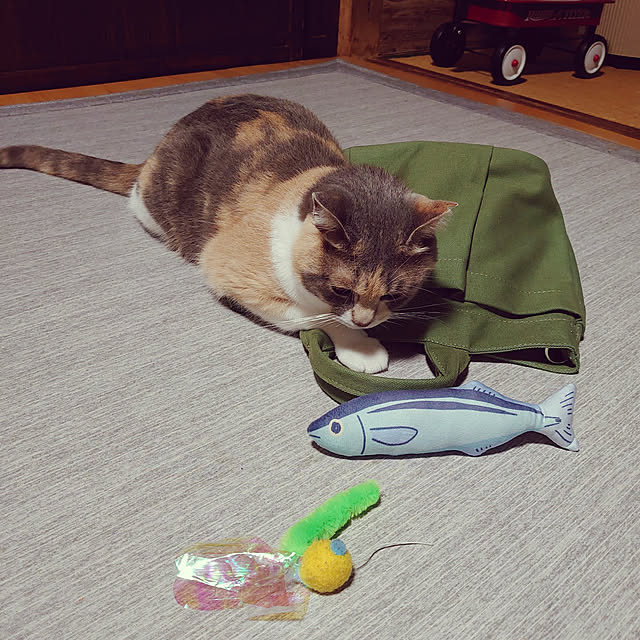 fukuさんの実例写真