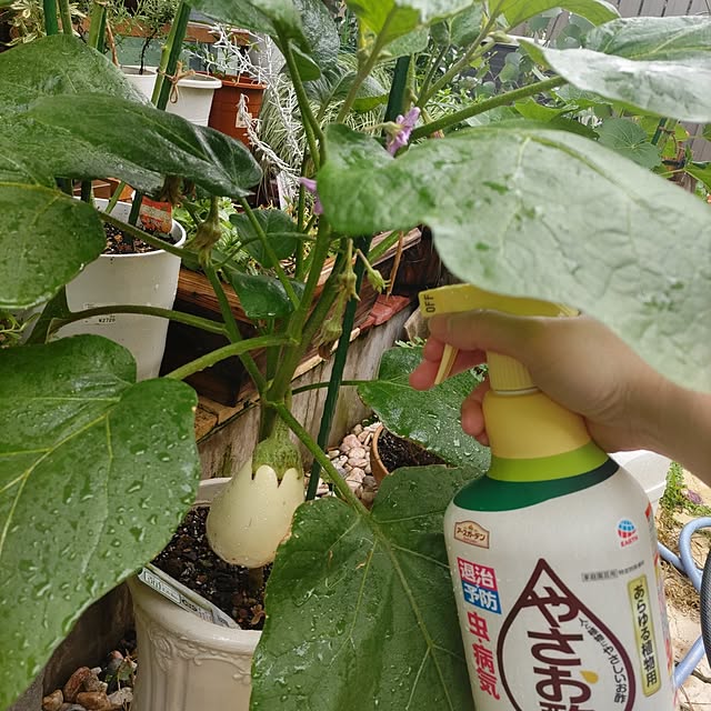 yuuさんの実例写真