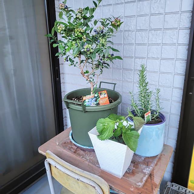 Ri-さんの実例写真