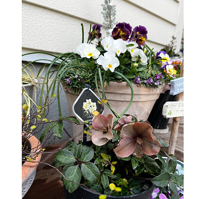 yoshibuさんの実例写真