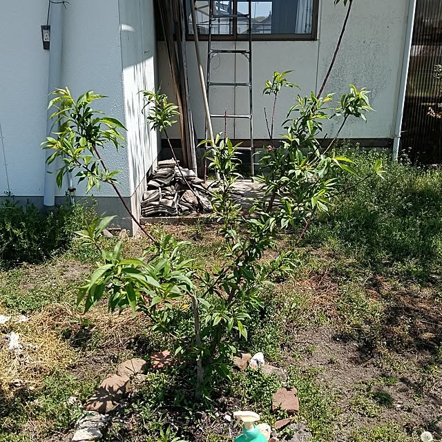 sumimarumiさんの部屋