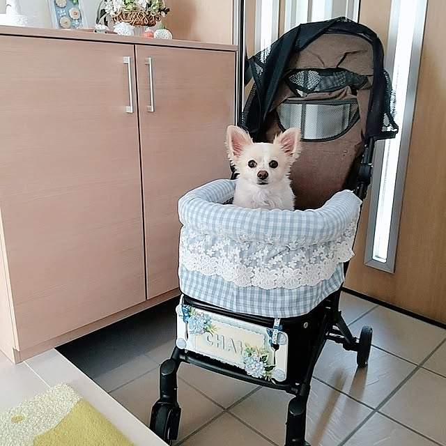 PAOさんの部屋