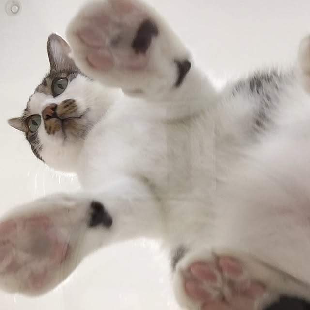 yuchiさんの実例写真