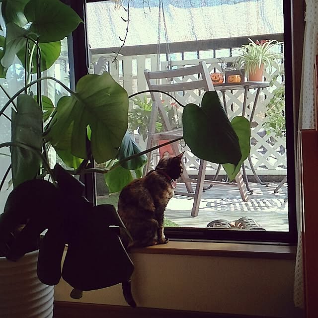 mcomcoさんの実例写真