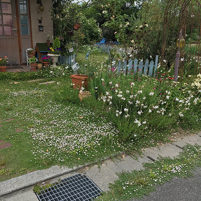 shigimiさんの実例写真