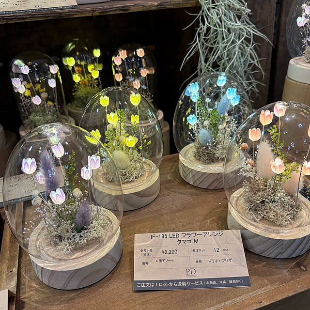 sachieさんの部屋
