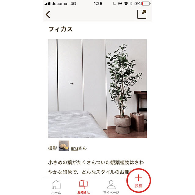 実例写真