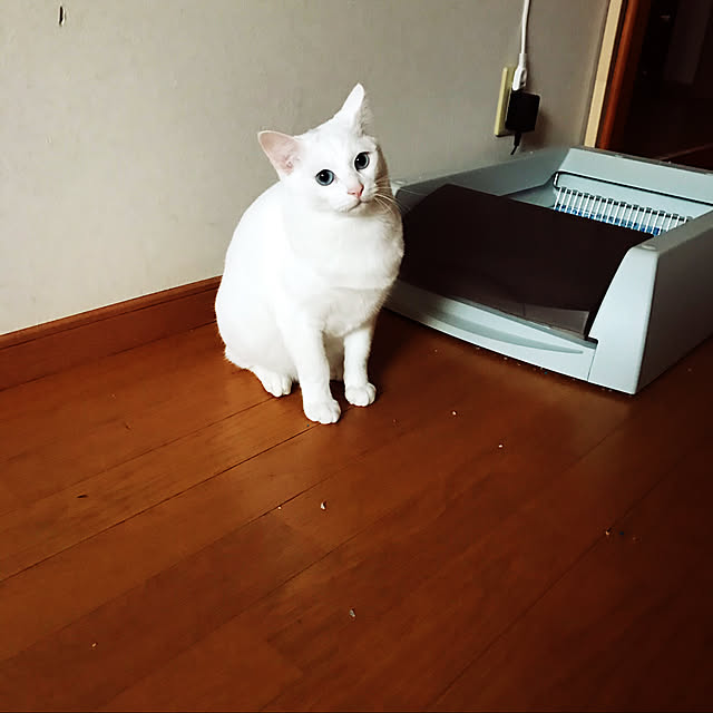 yuki48さんの実例写真