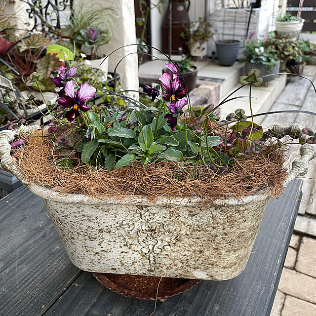 shiropenguinさんの部屋