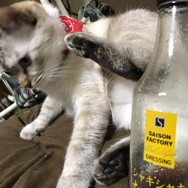 nachuさんの実例写真
