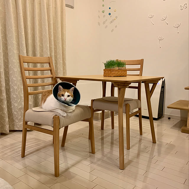 bikkeさんの実例写真