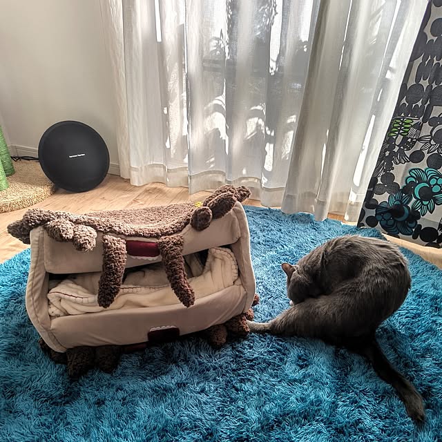 KN-necoさんの部屋