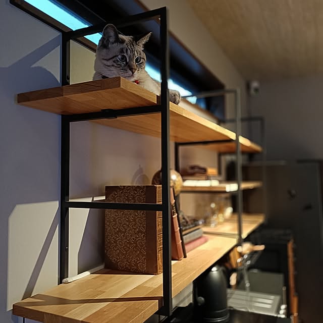 Atelier_tamakiさんの部屋