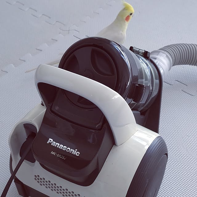 toratanさんの実例写真