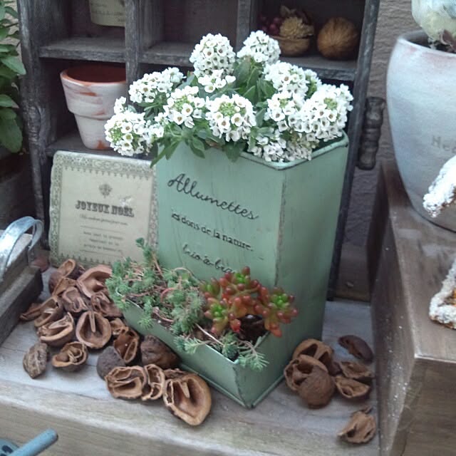 kokkomachaさんの実例写真