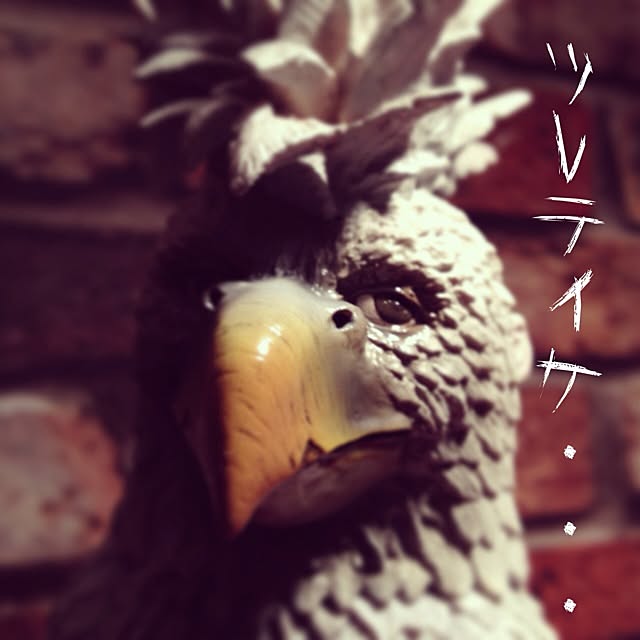 runさんの実例写真