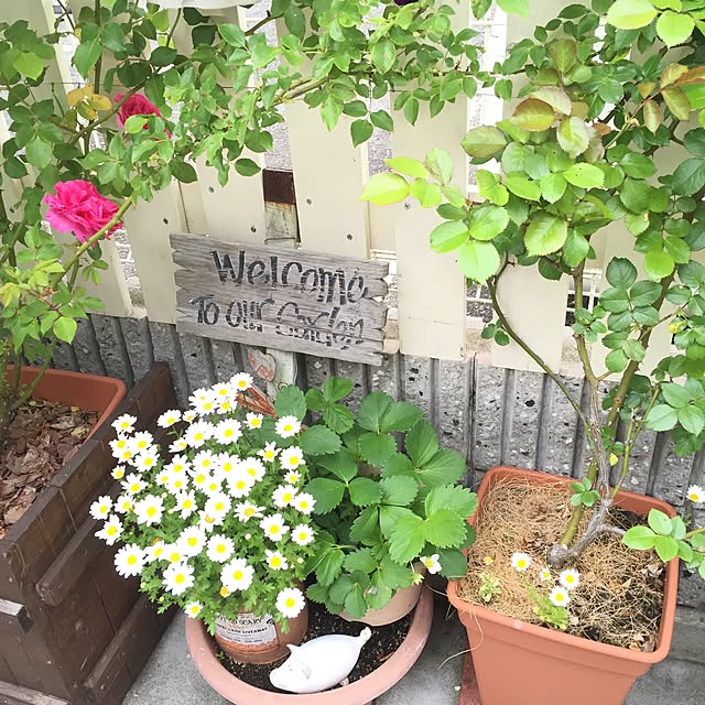 marorinさんの実例写真