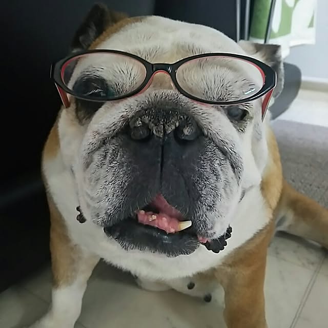 AandPさんの実例写真