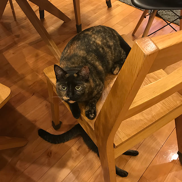 noraさんの実例写真