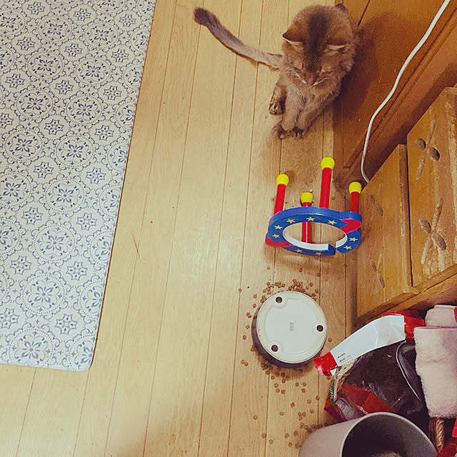 yukarinさんの実例写真