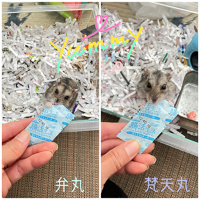 adamoさんの実例写真