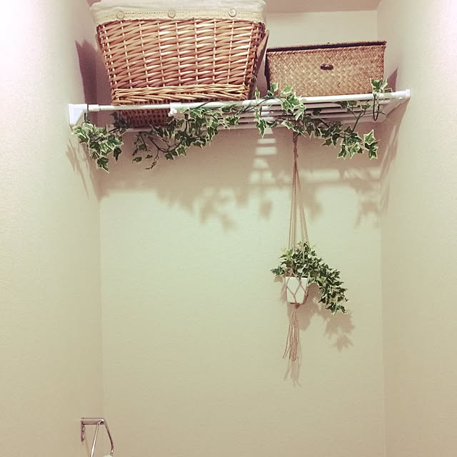 annさんの実例写真
