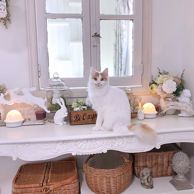 yuchiさんの実例写真