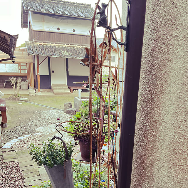 cota2さんの部屋