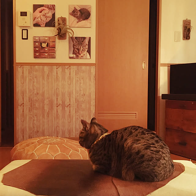 Mさんの実例写真