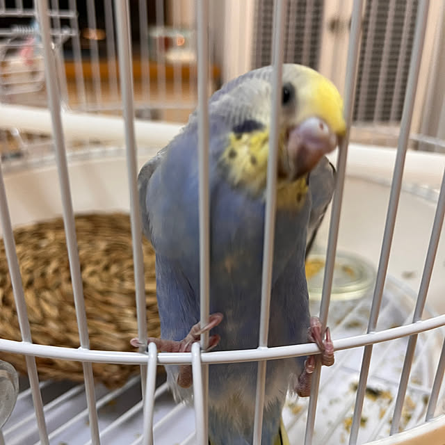 Atsukoさんの部屋