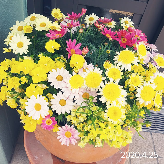 kaochanさんの実例写真
