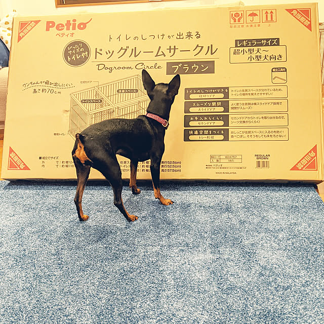shizuponさんの実例写真