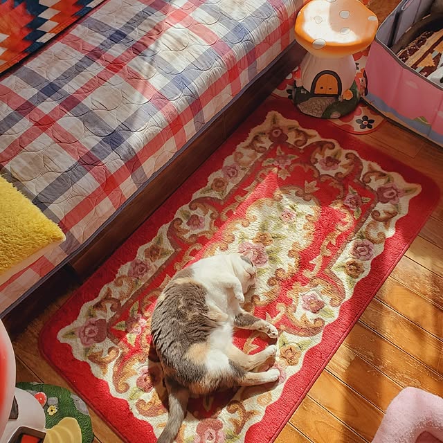kumutanさんの部屋
