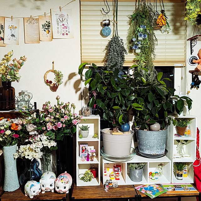 umeboshicyanさんの実例写真