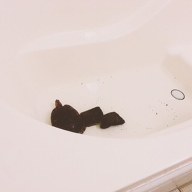 mikoさんの実例写真