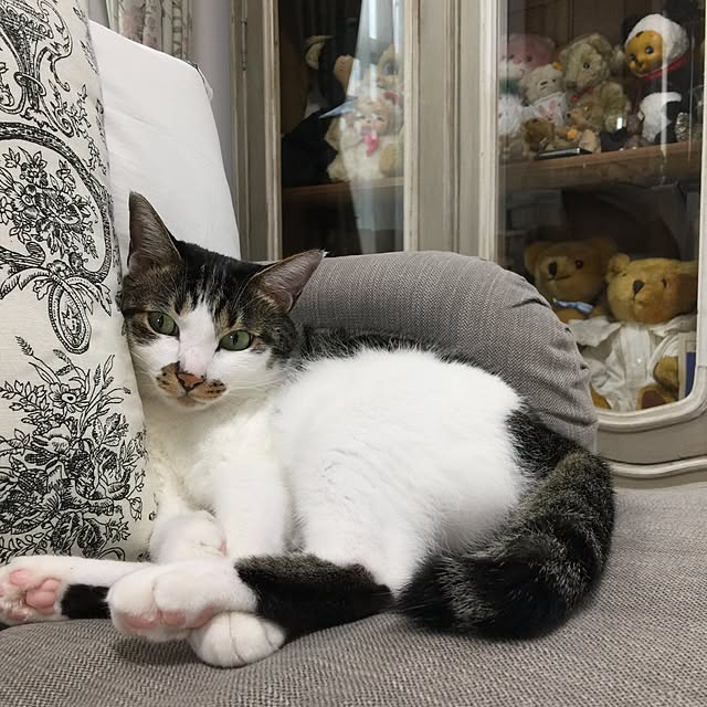 yuchiさんの実例写真