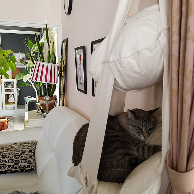 neoさんの実例写真