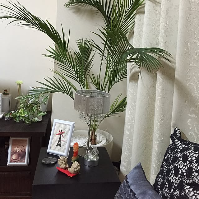 konekoginjiさんの実例写真
