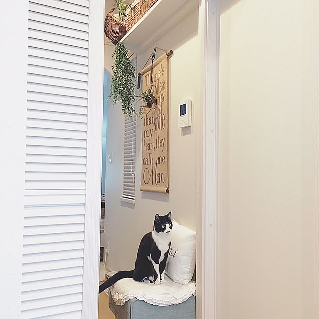lovecatさんの実例写真