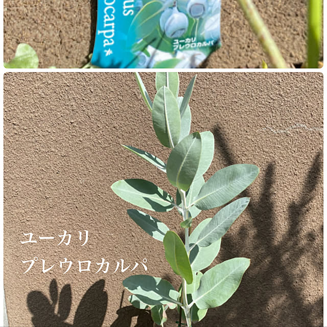 MIHさんの実例写真