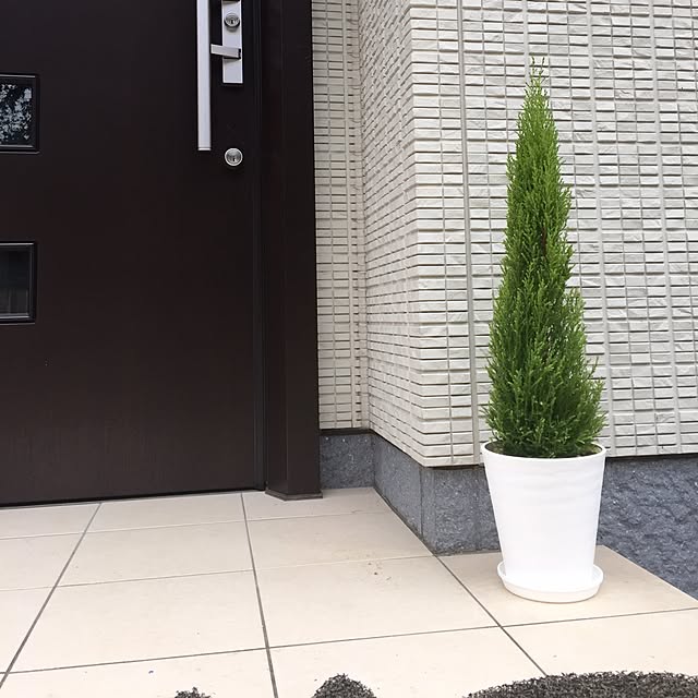 mayuさんの実例写真
