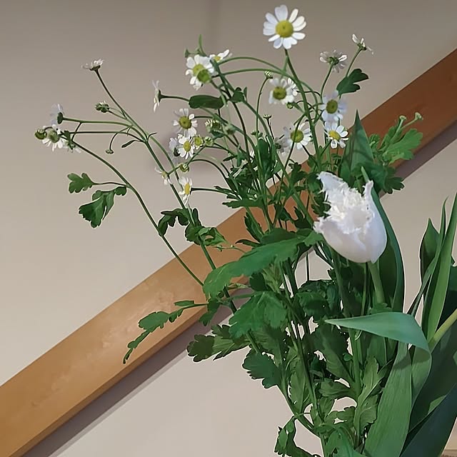t.yumiさんの部屋