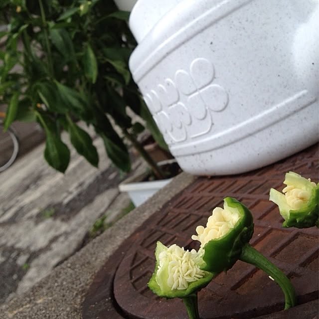 sachi050201さんの実例写真