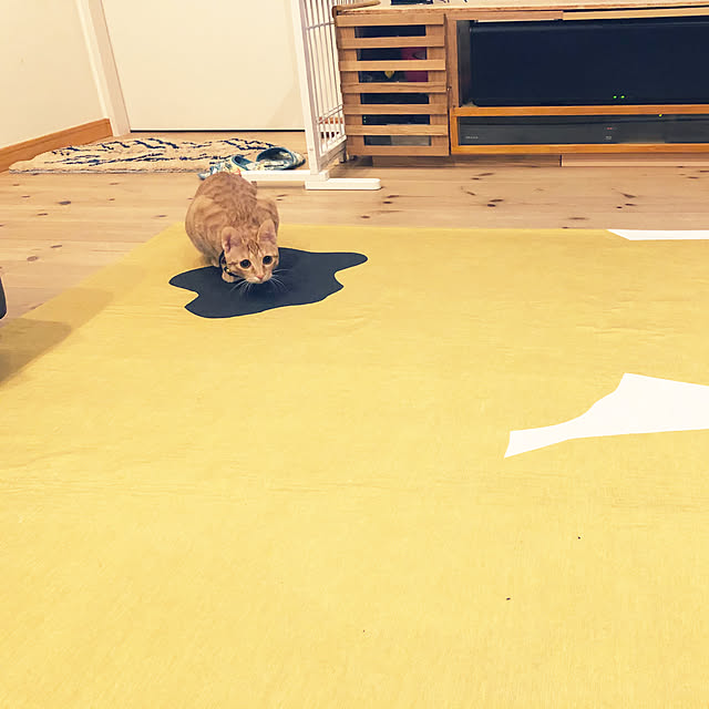 takakoさんの実例写真