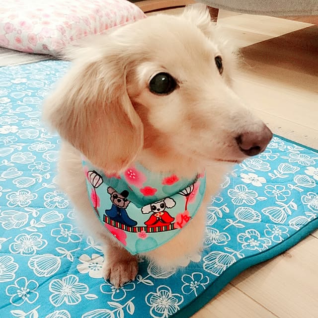 momokiraさんの実例写真